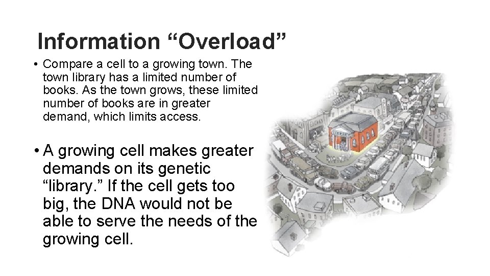 Information “Overload” • Compare a cell to a growing town. The town library has