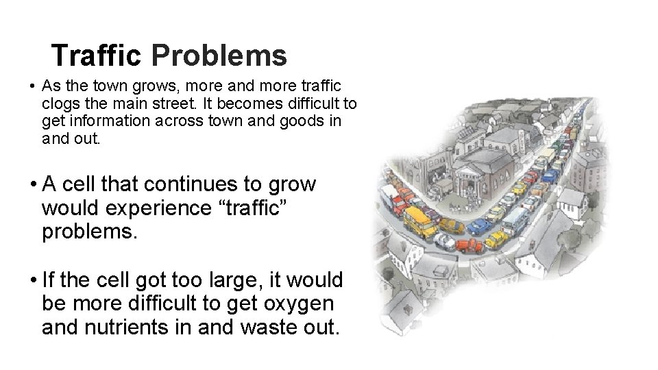 Traffic Problems • As the town grows, more and more traffic clogs the main