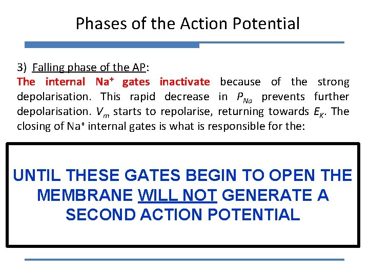 Phases of the Action Potential 3) Falling phase of the AP: The internal Na+