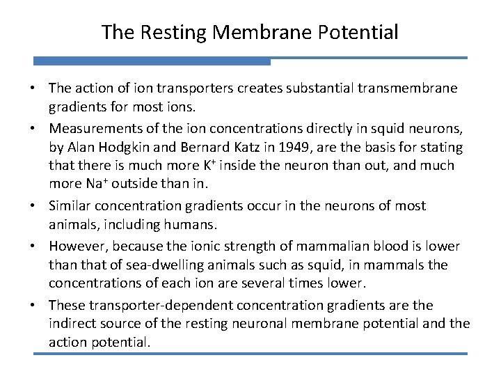 The Resting Membrane Potential • The action of ion transporters creates substantial transmembrane gradients