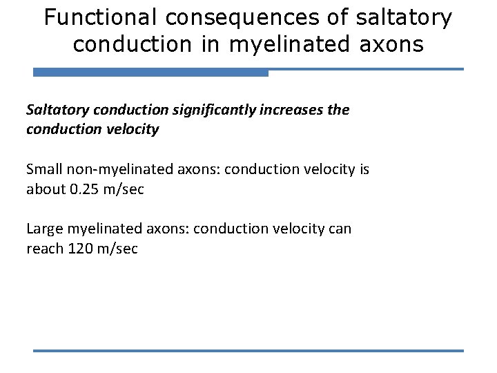 Functional consequences of saltatory conduction in myelinated axons Saltatory conduction significantly increases the conduction