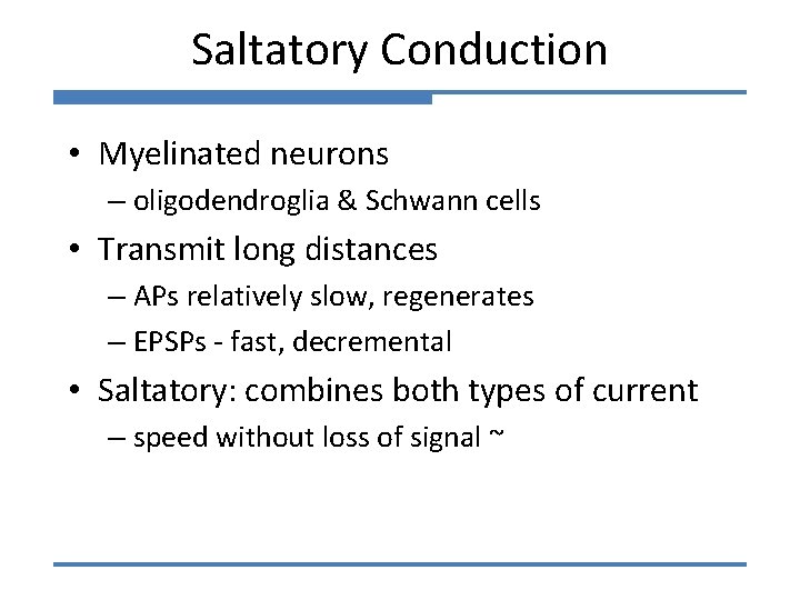 Saltatory Conduction • Myelinated neurons – oligodendroglia & Schwann cells • Transmit long distances