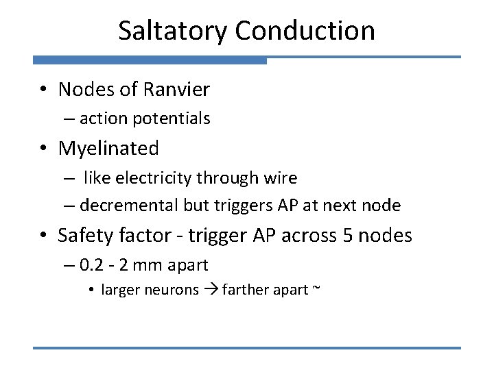 Saltatory Conduction • Nodes of Ranvier – action potentials • Myelinated – like electricity