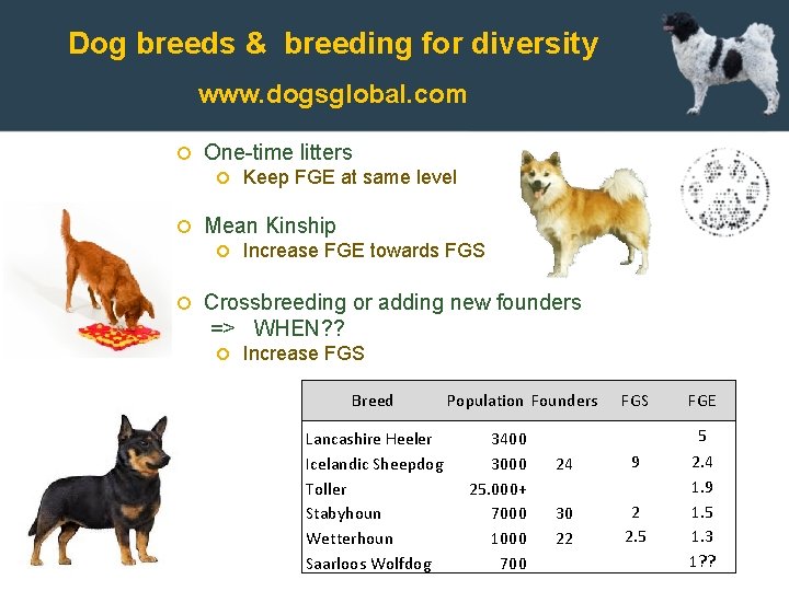 Dog breeds & breeding for diversity www. dogsglobal. com One-time litters Mean Kinship Keep