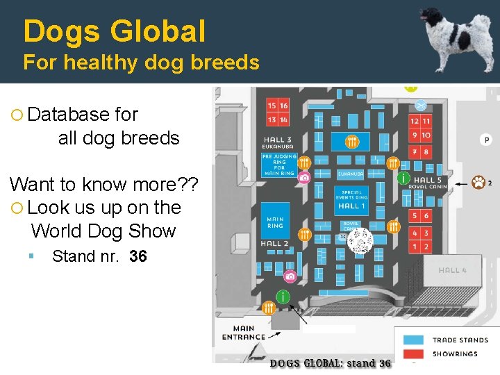 Dogs Global For healthy dog breeds Database for all dog breeds Want to know
