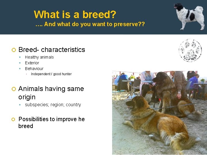 What is a breed? …. And what do you want to preserve? ? Breed-