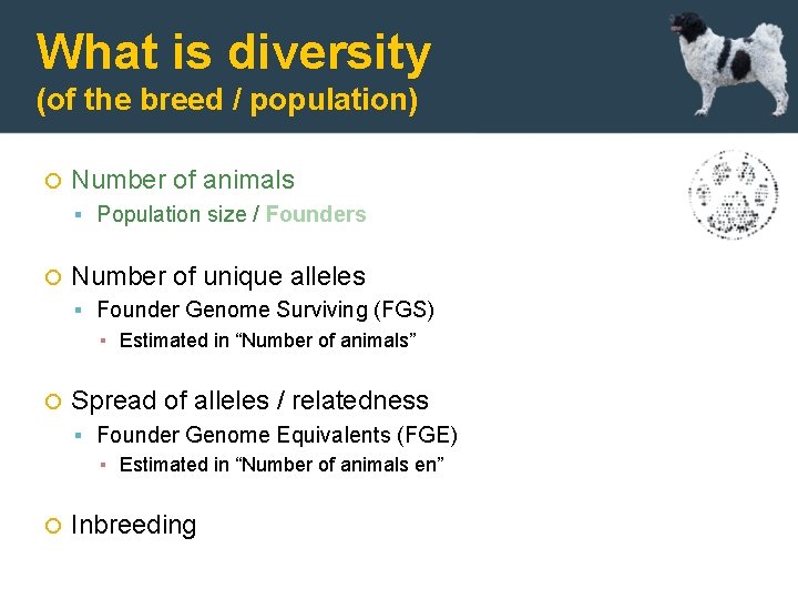 What is diversity (of the breed / population) Number of animals Population size /