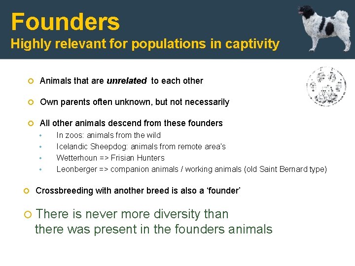Founders Highly relevant for populations in captivity Animals that are unrelated to each other