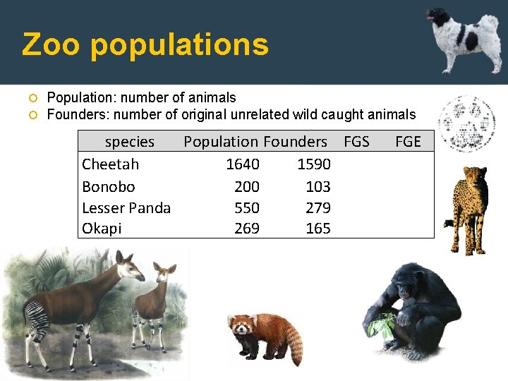 Zoo populations Population: number of animals Founders: number of original unrelated wild caught animals