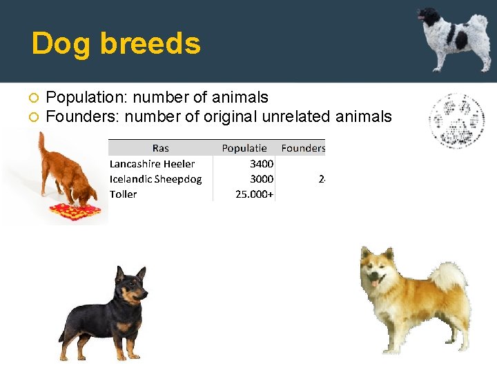 Dog breeds Population: number of animals Founders: number of original unrelated animals en 