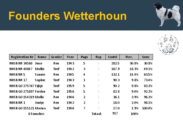 Founders Wetterhoun Registration Nr Name Gender Year Pups Rep NHSB NR 34568 Juno Reu