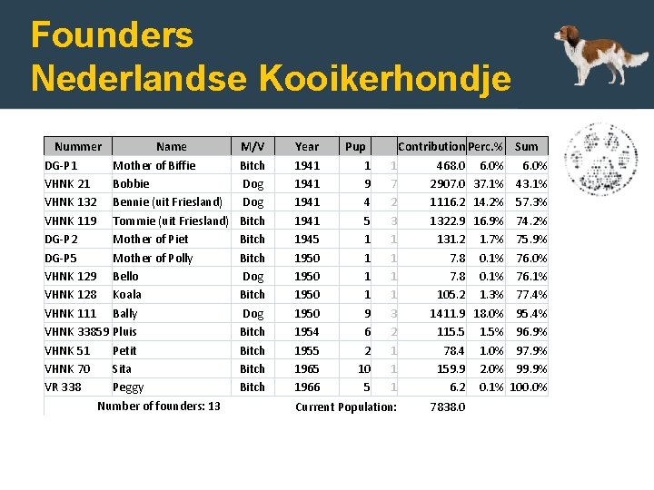 Founders Nederlandse Kooikerhondje Nummer Name DG-P 1 Mother of Biffie VHNK 21 Bobbie VHNK