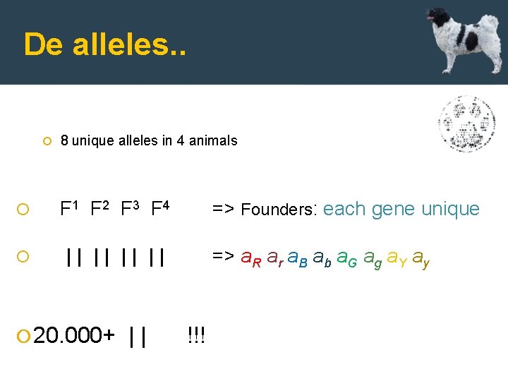De alleles. . 8 unique alleles in 4 animals F 1 F 2 F