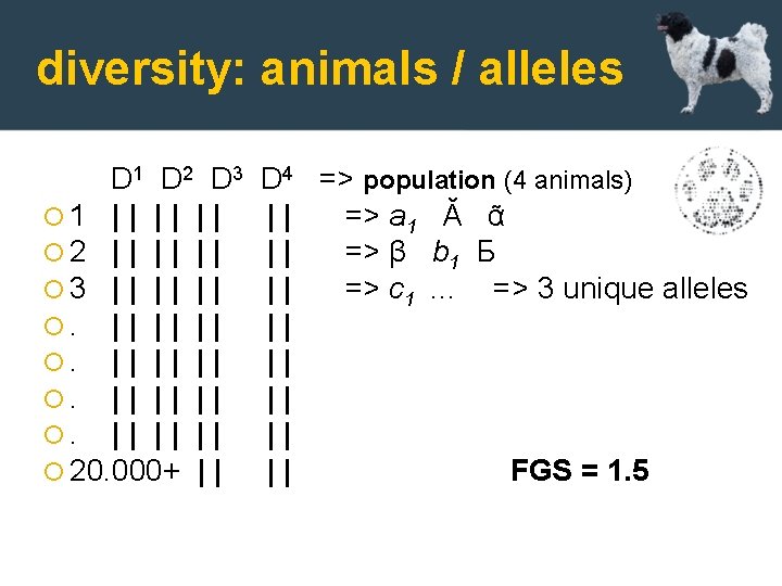 diversity: animals / alleles D 1 D 2 D 3 1 | | |