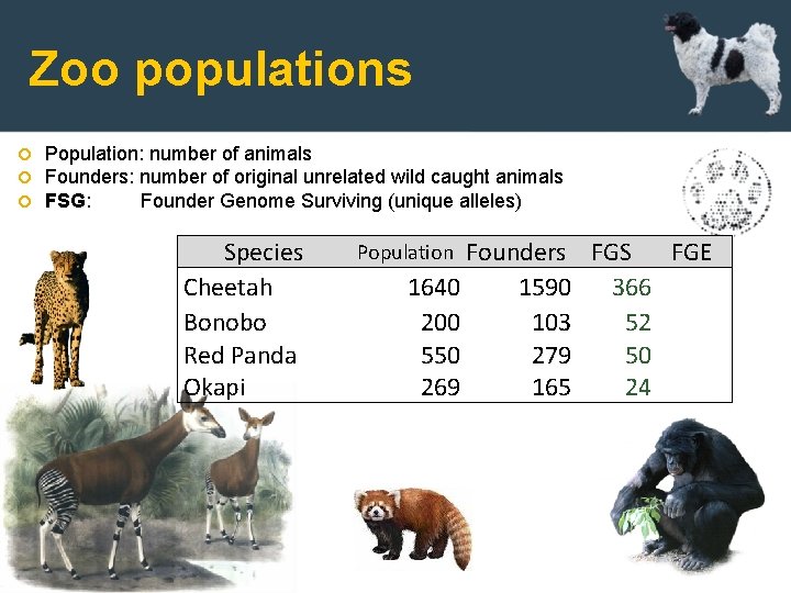 Zoo populations Population: number of animals Founders: number of original unrelated wild caught animals