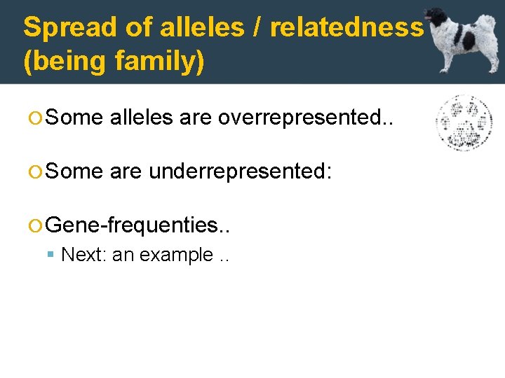 Spread of alleles / relatedness (being family) Some alleles are overrepresented. . Some are