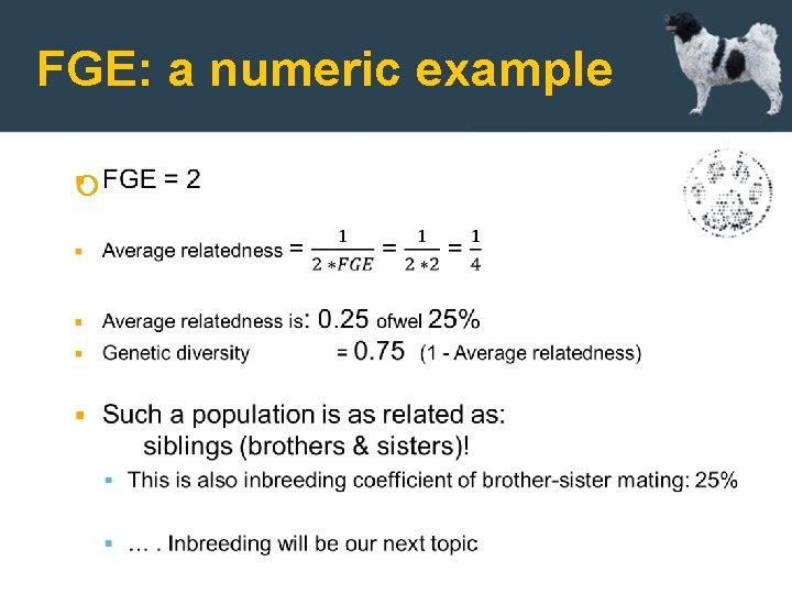 FGE: a numeric example 