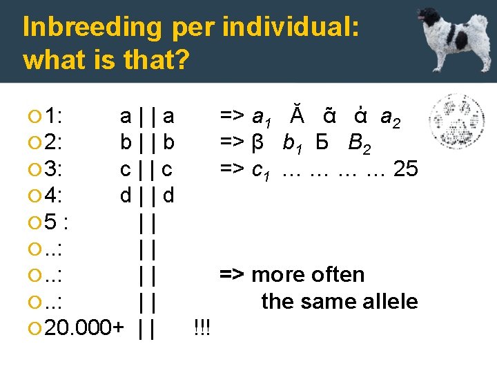 Inbreeding per individual: what is that? 1: a||a 2: b||b 3: c||c 4: d||d