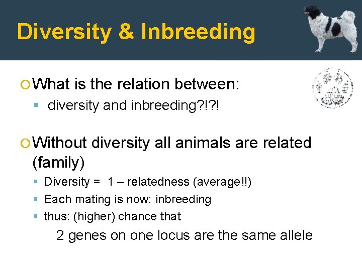 Diversity & Inbreeding What is the relation between: diversity and inbreeding? !? ! Without