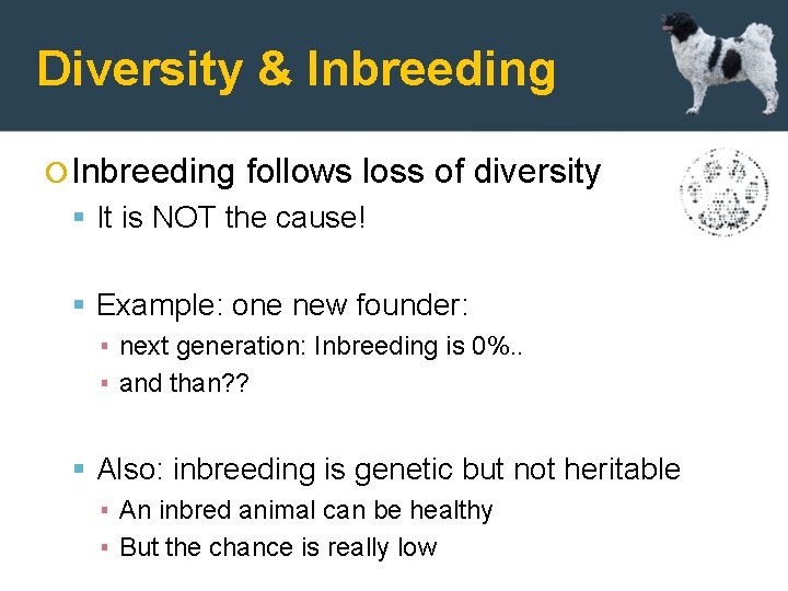 Diversity & Inbreeding follows loss of diversity It is NOT the cause! Example: one