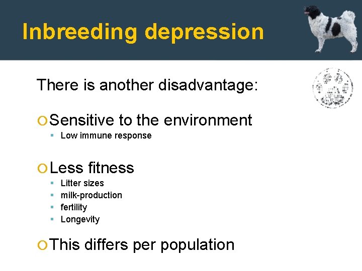 Inbreeding depression There is another disadvantage: Sensitive to the environment Low immune response Less