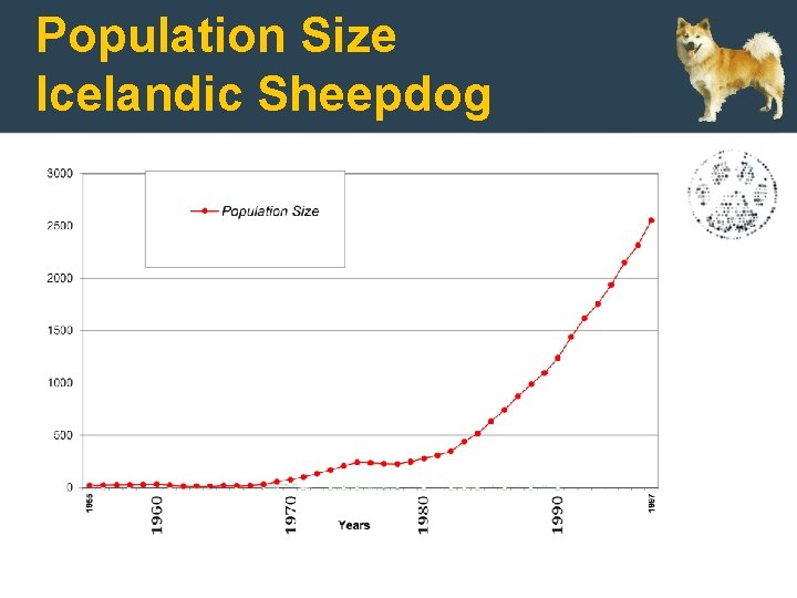 Population Size Icelandic Sheepdog 