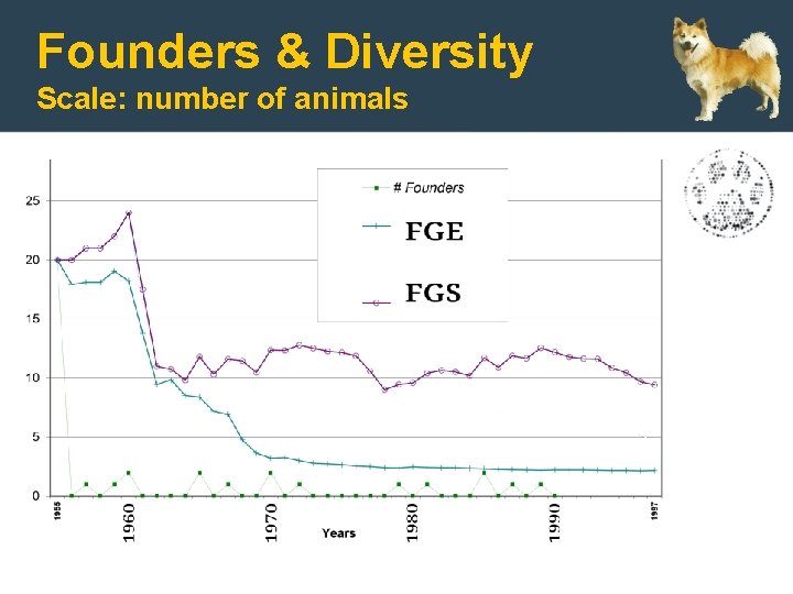 Founders & Diversity Scale: number of animals 