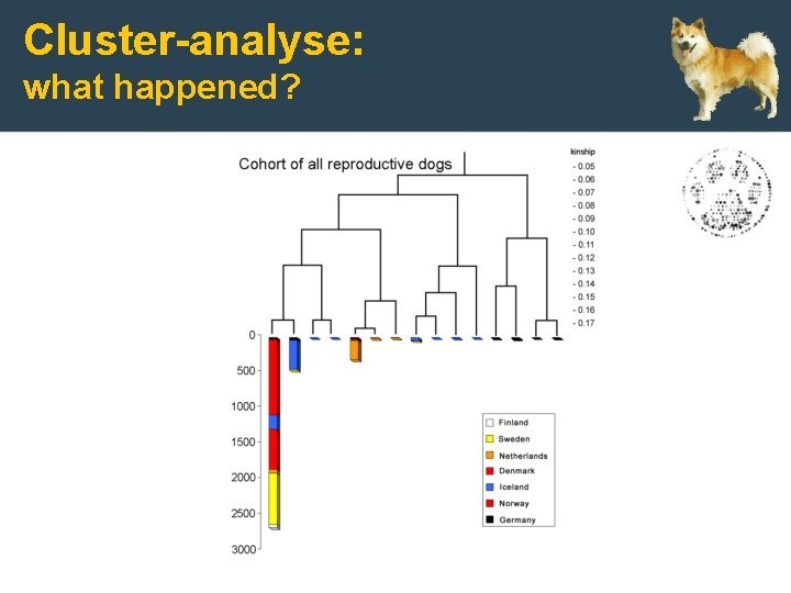 Cluster-analyse: what happened? 