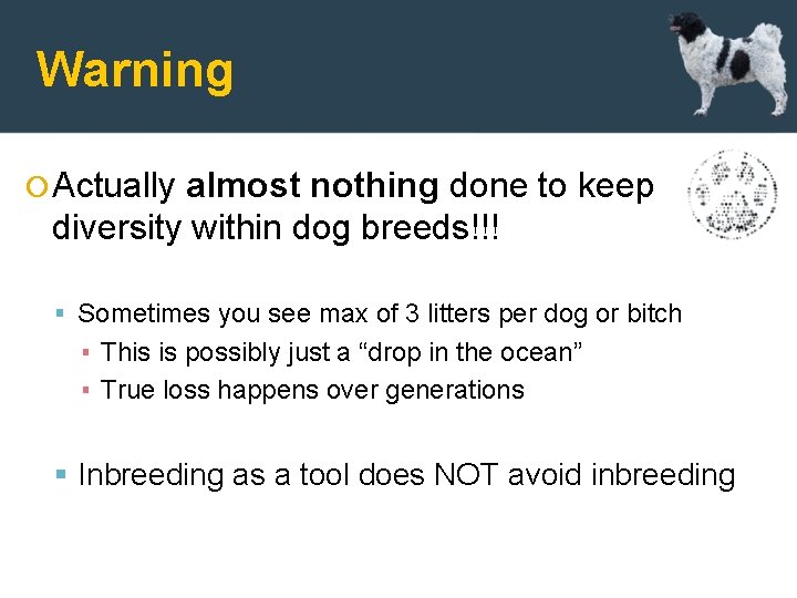 Warning Actually almost nothing done to keep diversity within dog breeds!!! Sometimes you see