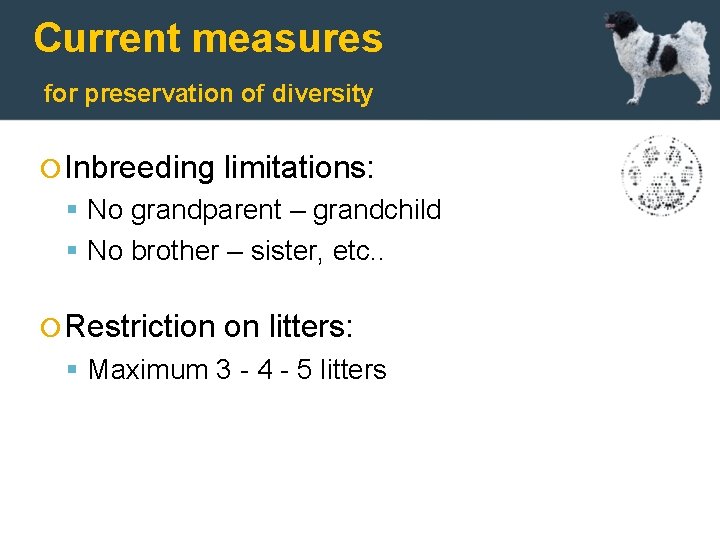 Current measures for preservation of diversity Inbreeding limitations: No grandparent – grandchild No brother