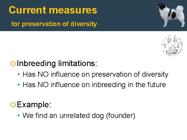 Current measures for preservation of diversity Inbreeding limitations: Has NO influence on preservation of
