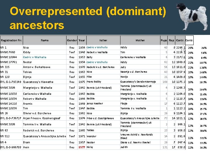 Overrepresented (dominant) ancestors Registration Nr. Name Gender Year Father Mother Pups Rep Contr. VR