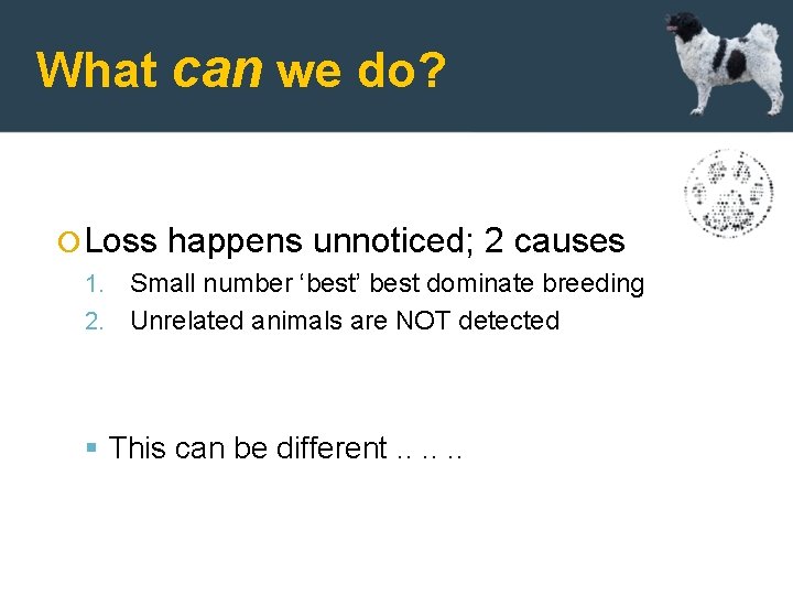 What can we do? Loss happens unnoticed; 2 causes 1. Small number ‘best’ best