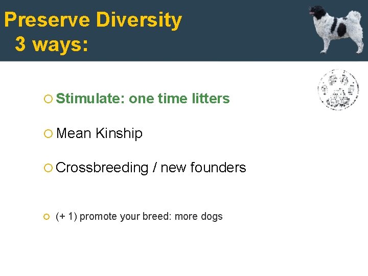 Preserve Diversity 3 ways: Stimulate: Mean one time litters Kinship Crossbreeding / new founders