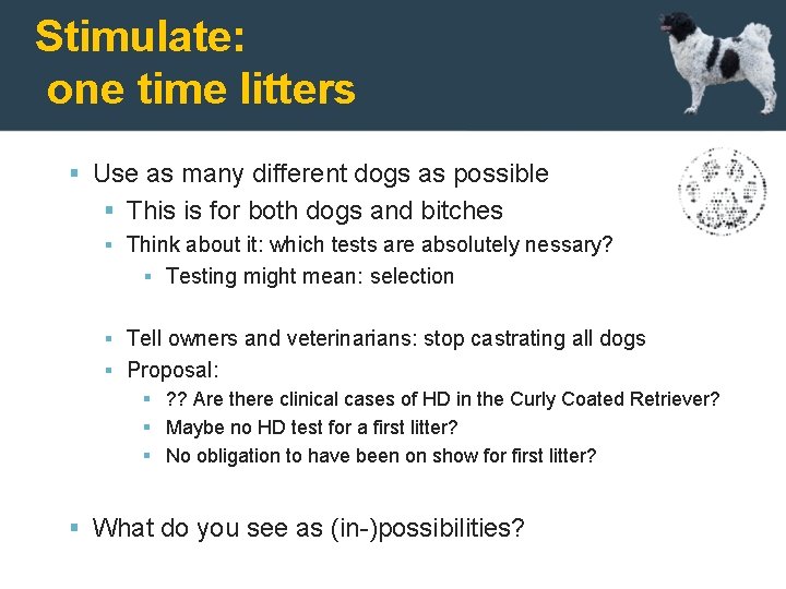 Stimulate: one time litters Use as many different dogs as possible This is for