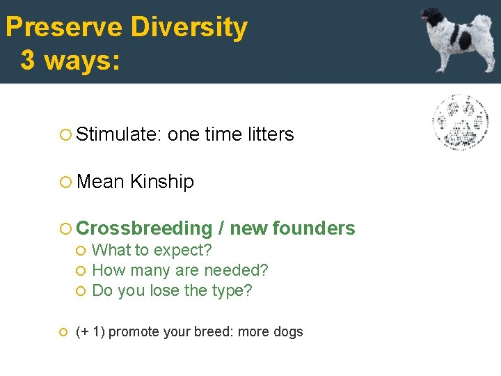 Preserve Diversity 3 ways: Stimulate: Mean one time litters Kinship Crossbreeding / new founders