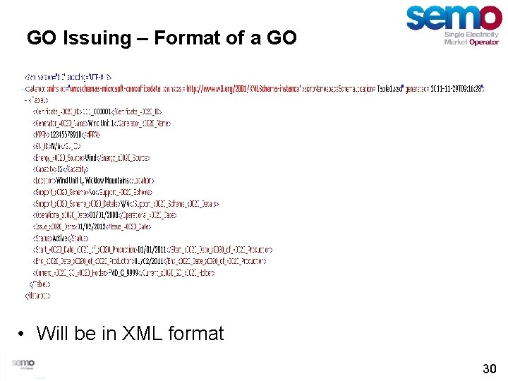 GO Issuing – Format of a GO • Will be in XML format 30