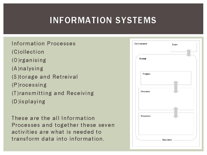 INFORMATION SYSTEMS Information Processes (C)ollection (O)rganising (A)nalysing (S)torage and Retreival (P)rocessing (T)ransmitting and Receiving