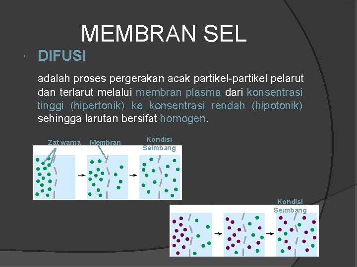 MEMBRAN SEL DIFUSI adalah proses pergerakan acak partikel-partikel pelarut dan terlarut melalui membran plasma