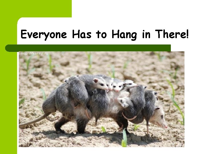 Everyone Has to Hang in There! 