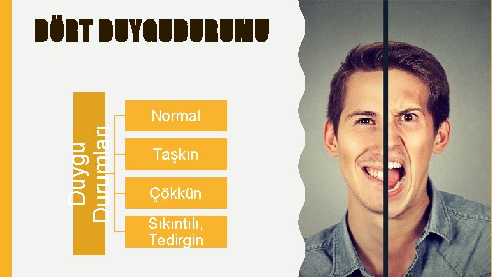 DÖRT DUYGUDURUMU Duygu Durumları Normal Taşkın Çökkün Sıkıntılı, Tedirgin 