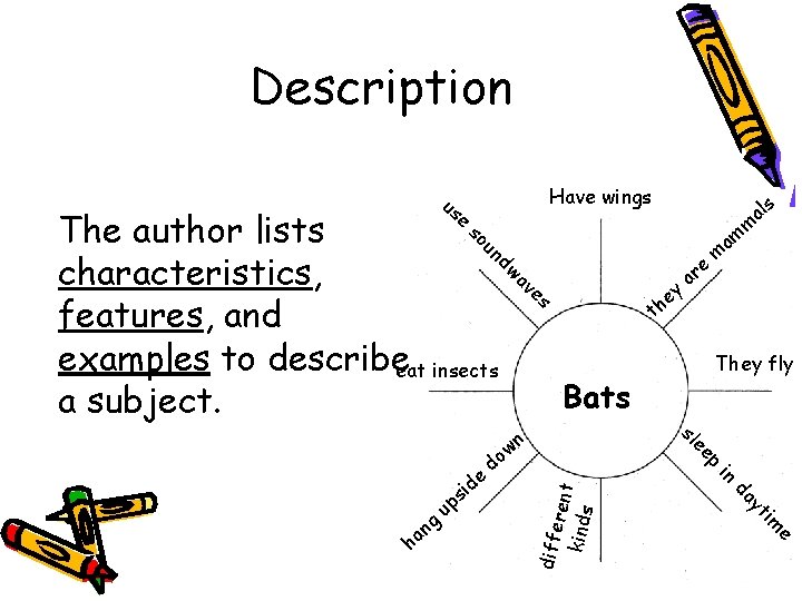 Description e us The author lists characteristics, features, and examples to describeeat insects a