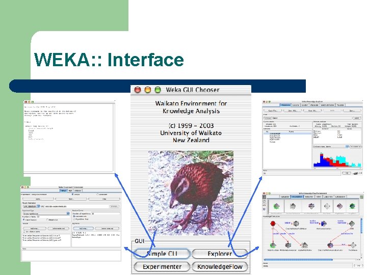 WEKA: : Interface 