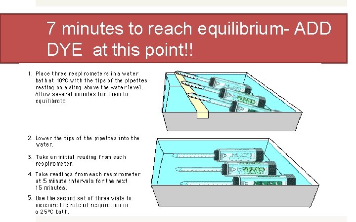 7 minutes to reach equilibrium- ADD DYE at this point!! 