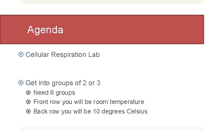 Agenda Cellular Respiration Lab Get into groups of 2 or 3 Need 6 groups