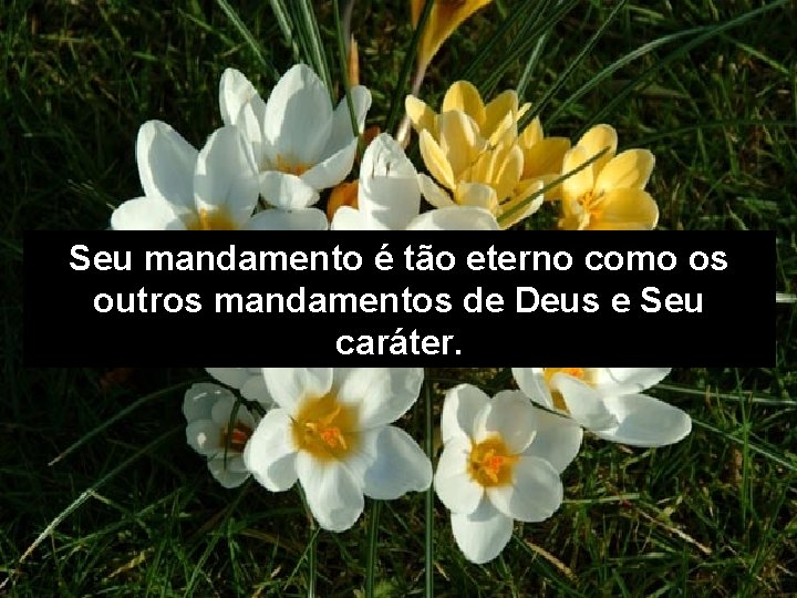 Seu mandamento é tão eterno como os outros mandamentos de Deus e Seu caráter.