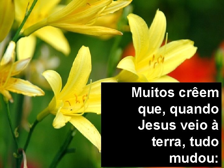 Muitos crêem que, quando Jesus veio à terra, tudo mudou: 