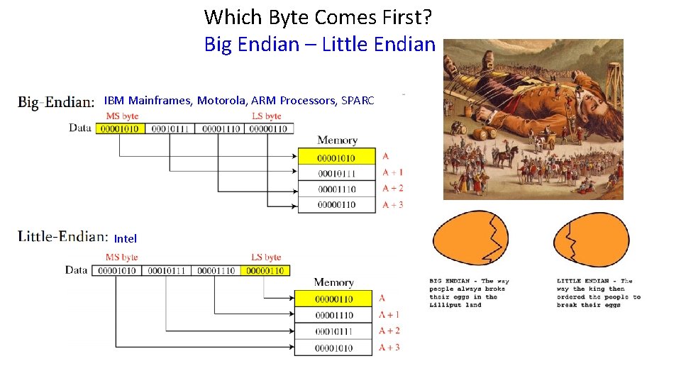 Which Byte Comes First? Big Endian – Little Endian IBM Mainframes, Motorola, ARM Processors, Which Byte Comes First? Big Endian – Little Endian IBM Mainframes, Motorola, ARM Processors,