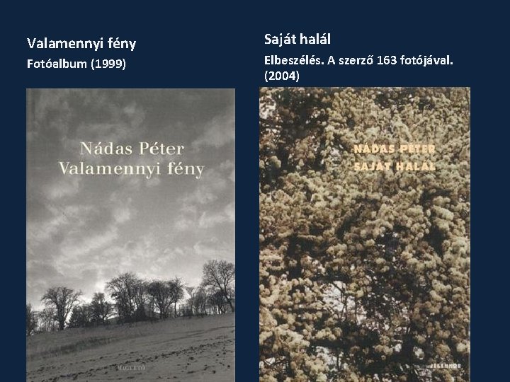 Valamennyi fény Fotóalbum (1999) Saját halál Elbeszélés. A szerző 163 fotójával. (2004) 