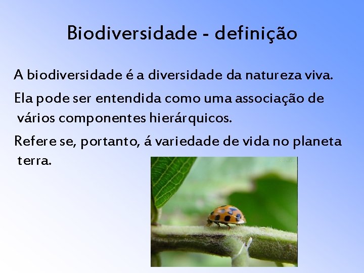 Biodiversidade - definição A biodiversidade é a diversidade da natureza viva. Ela pode ser